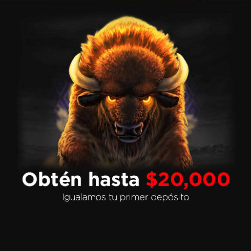 Obtén hasta $20,000: igualamos tu primer depósito